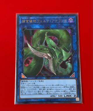 捕食植物ヴェルテ・アナコンダ   UR  ウルトラ  壱