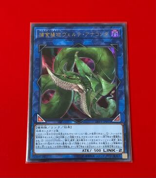 捕食植物ヴェルテ・アナコンダ   UR ウルトラ  弐