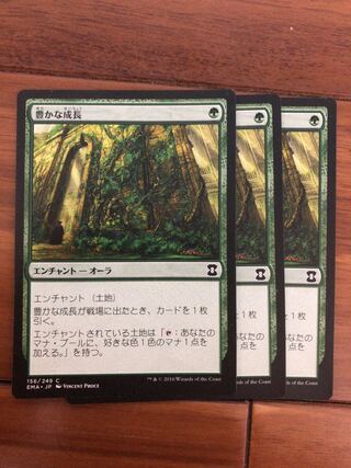 豊かな成長　×3