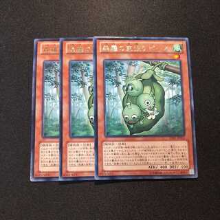 森羅の実張り ピース レア