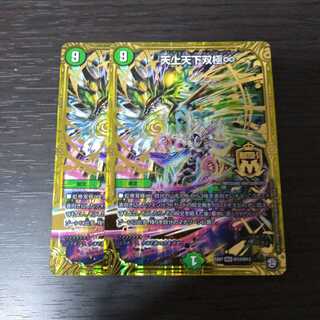 天上天下双極∞