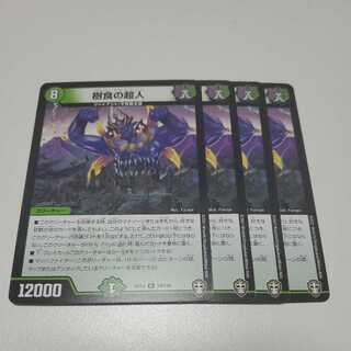 Psychic person of tree food, set of 4