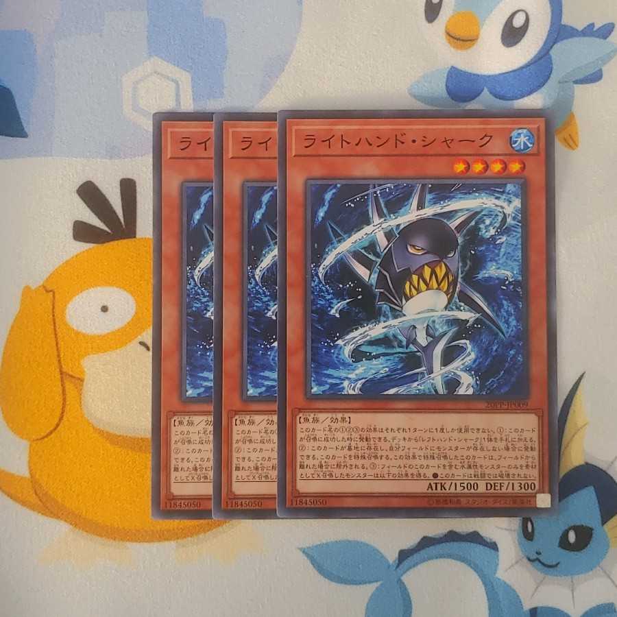 525 ライトハンド・シャーク 3枚 鮭イクラ商店