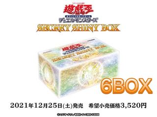 SECRET SHINY BOX シークレットシャイニーボックス 6BOX