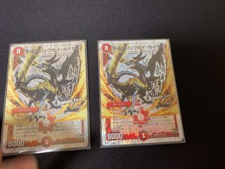 Eternal Ryusei Kaiser