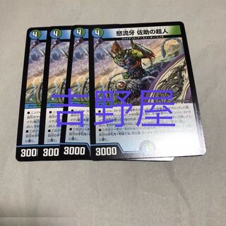 4枚　サルトビジャイアント