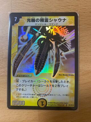 光輪の精霊シャウナ