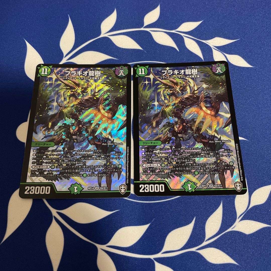 ブラキオ龍樹　2枚