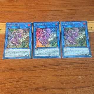 Shaman of the Tenyi Super Rare 3 copies