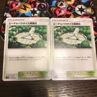 エーテルパラダイス保護区