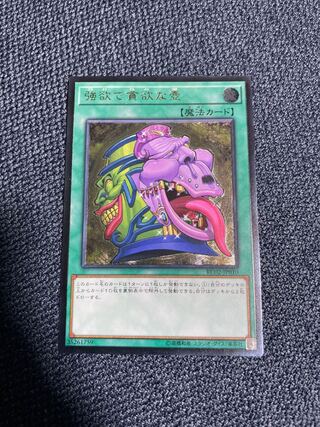 遊戯王 強欲で貪欲な壺 レリーフ