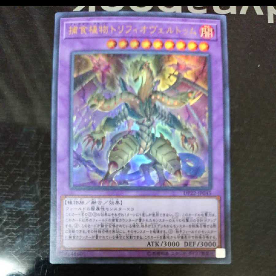 捕食植物トリフィオヴェルトゥム ウルトラレア