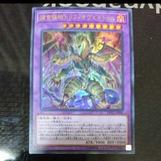 捕食植物トリフィオヴェルトゥム ウルトラレア