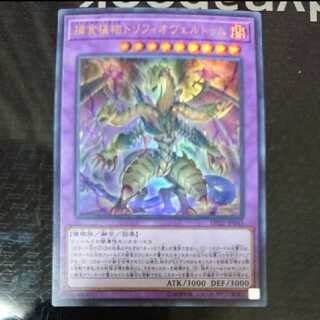 捕食植物トリフィオヴェルトゥム ウルトラレア