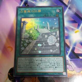 White Rose Cloister Ultra Rare