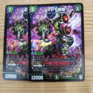 ドマンモ龍樹2枚セット