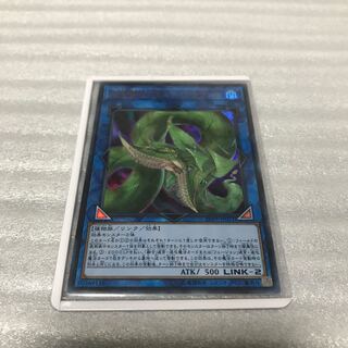遊戯王　捕食植物ヴェルテ・アナコンダ　ウルトラ