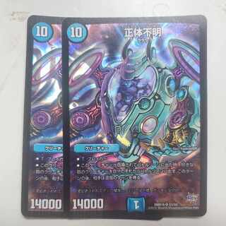 正体不明 2枚セット