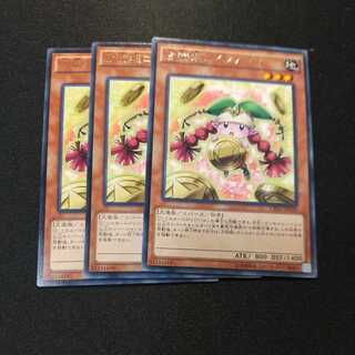 占術姫コインノーマ レア