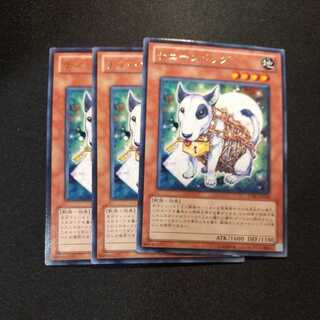 チェーンドッグ レア