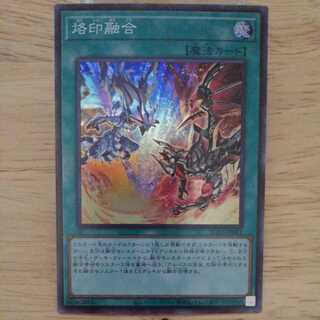 Branding Polymerization N Para with extras