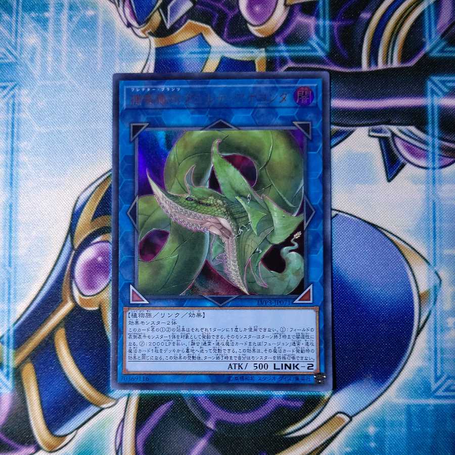 捕食植物ヴェルテ・アナコンダ ウルトラレア