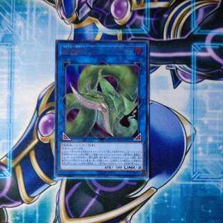 捕食植物ヴェルテ・アナコンダ ウルトラレア