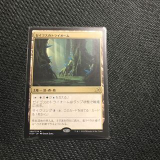 s3様専用　ゼイゴスのトライオーム