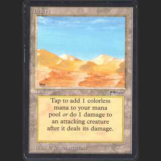 【英】砂漠[ARN]【プレイド】/管理:MM0312A