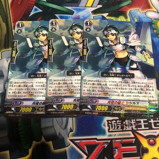 月桂の騎士 シシルス