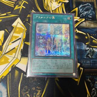 アラメシアの儀　シク