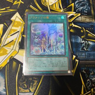 アラメシアの儀　ウルトラ