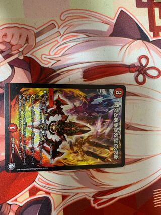 瞬閃と疾駆と双撃の決断