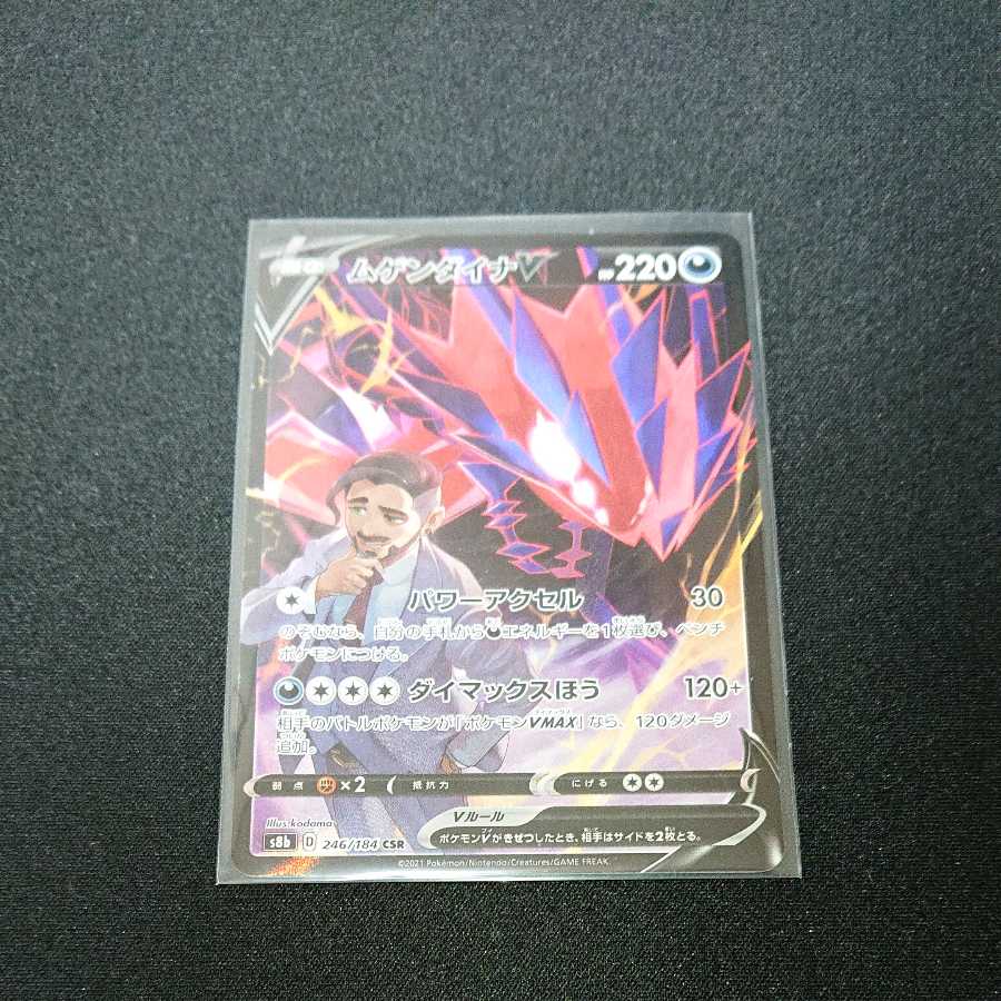 ムゲンダイナV CSR