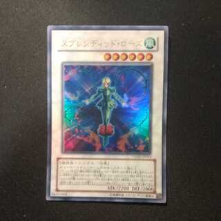 スプレンディッド・ローズ ウルトラレア　薔薇の妖精NO3