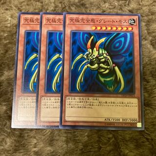 Madrace 826Perfectly Ultimate Great Moth Normal