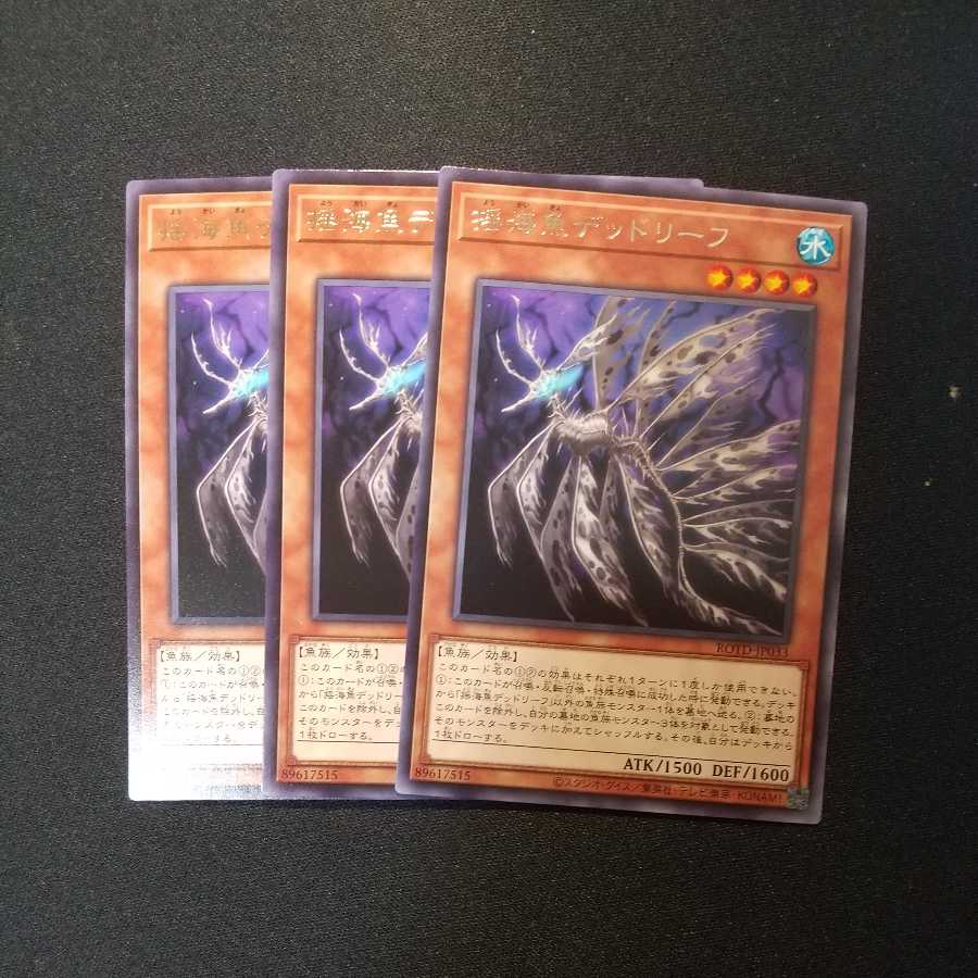 揺海魚デッドリーフ レア