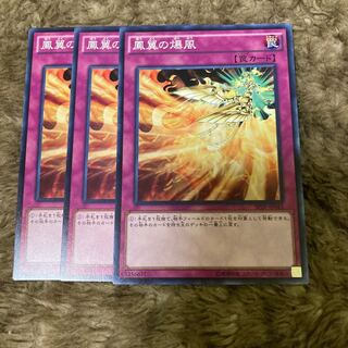 Madrace 828Phoenix Wing Wind Blast Normal