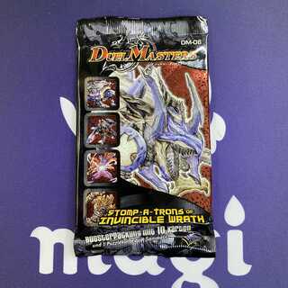 ドイツ語 DM-06 未開封パック