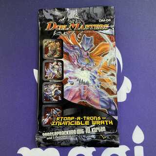 ドイツ語 DM-06 未開封パック