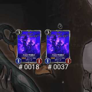 セルトの蒼竜騎士 2枚セット