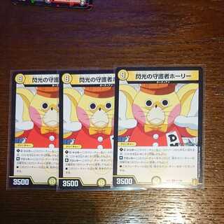 閃光の守護者ホーリー