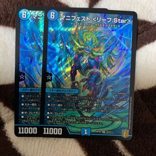 マニフェスト〈リーフ.Star〉