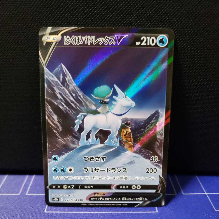 はくばバドレックスV　CSR