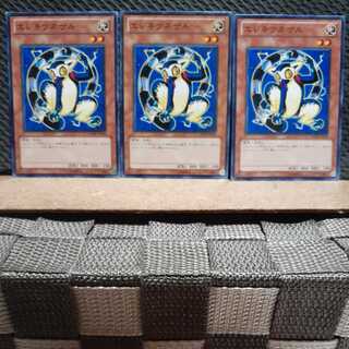 Popotan] Yu-Gi-Oh 5061 Wattlemur 3-card set