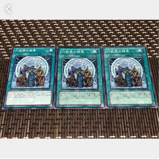 【ぽぽたん】遊戯王 六武衆の結束 3枚セット 3枚