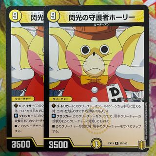 閃光の守護者ホーリー