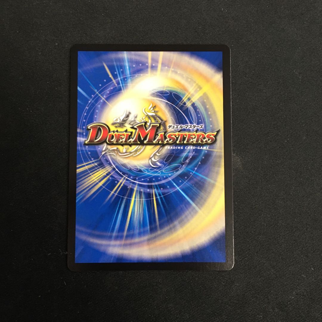 Absolute Shield Knight.