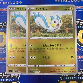 Pachirisu 2 mirrors