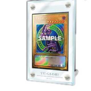 遊戯王 特製カードディスプレイケース